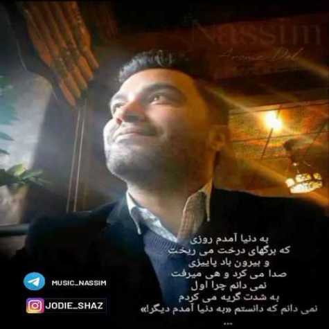 دانلود آهنگ نسیم آروم دل 1 Nassim Aroome Del
